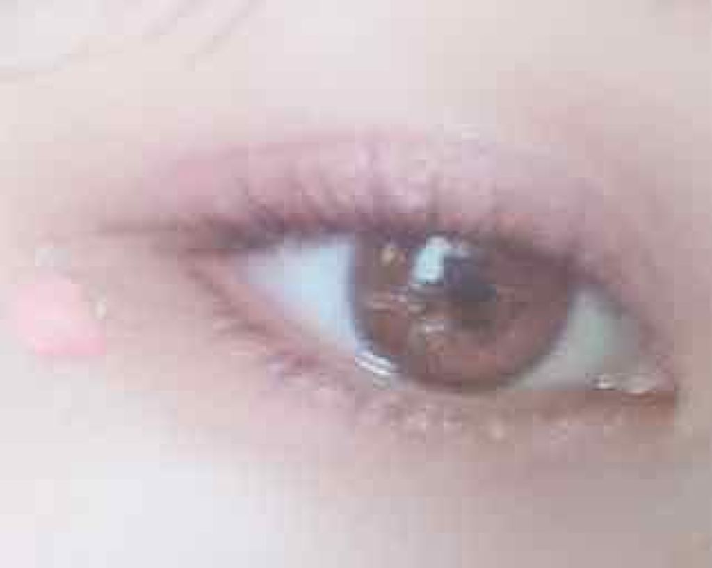 【旧品】パーフェクトスタイリストアイズ/キャンメイク/アイシャドウパレットを使ったクチコミ（1枚目）