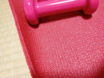 バランスボール/DAISO/その他フィットネスを使ったクチコミ(2枚目)