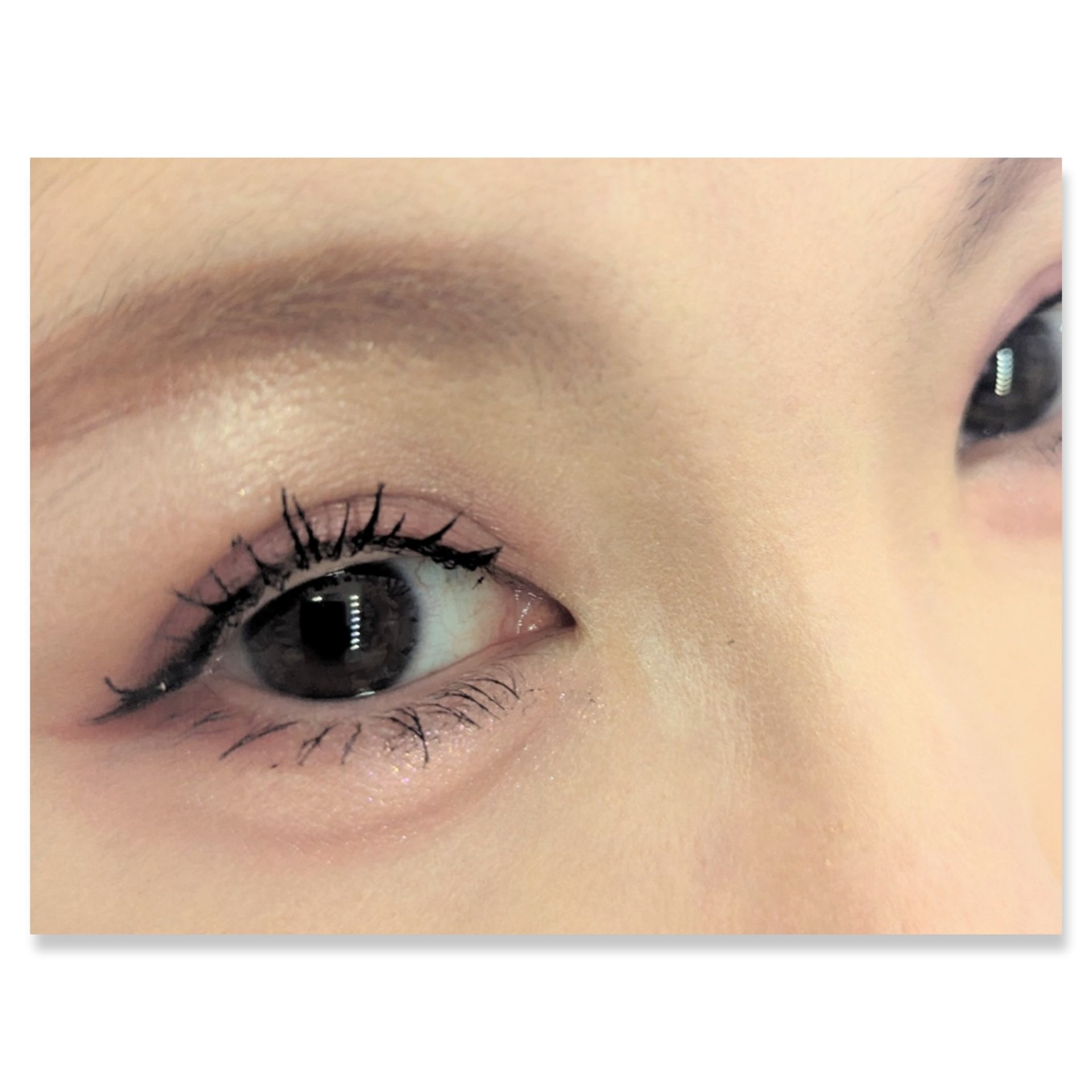 アイシャドウパレット 03 スモーキーピンク/Kirei&co./アイシャドウパレットを使ったクチコミ（2枚目）