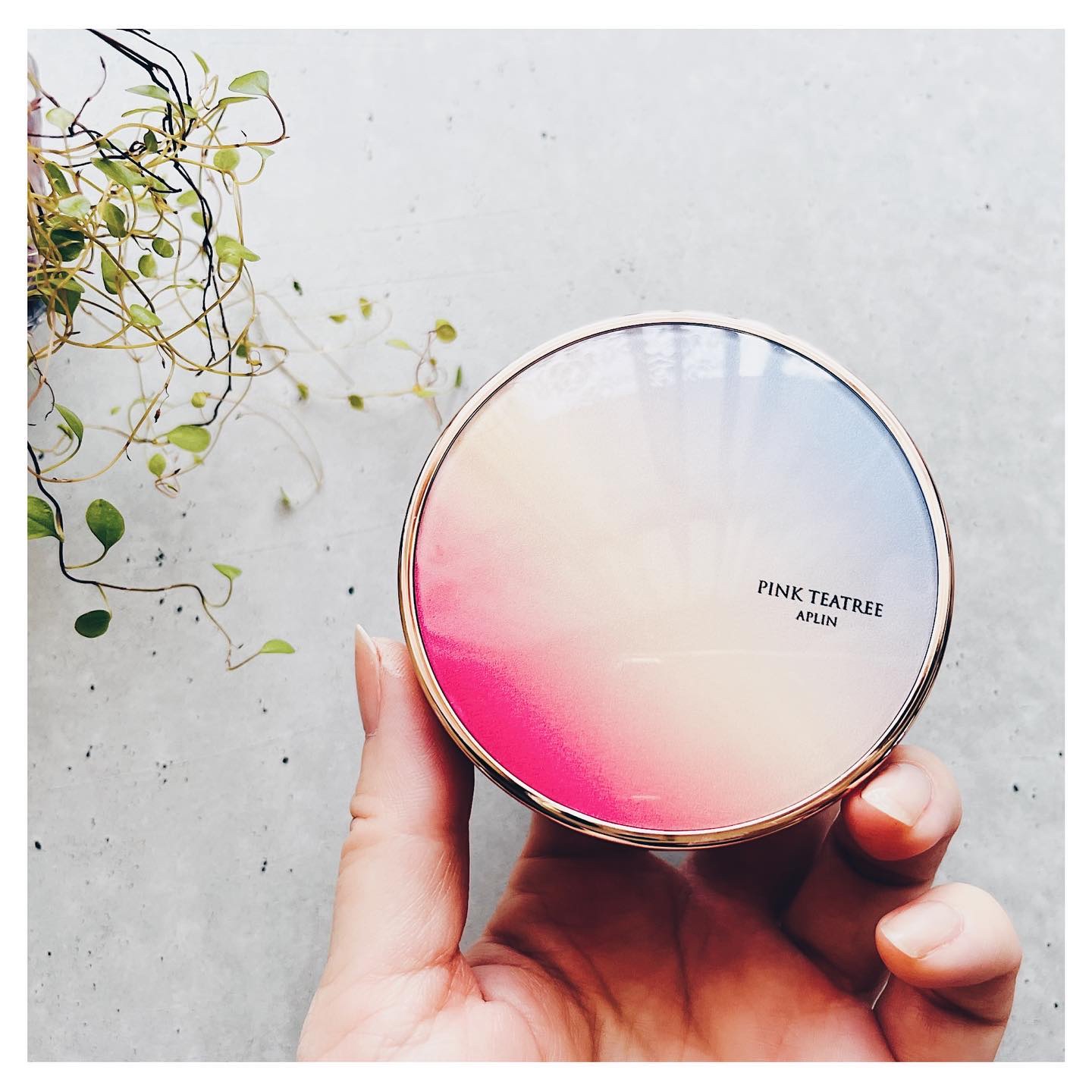 ピンクティーツリーカバーアップグロウクッション/APLIN/クッションファンデーションを使ったクチコミ（1枚目）