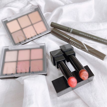 ワンバイワン アイ ディファイナー/Dinto/リキッドアイライナーを使ったクチコミ(3枚目)