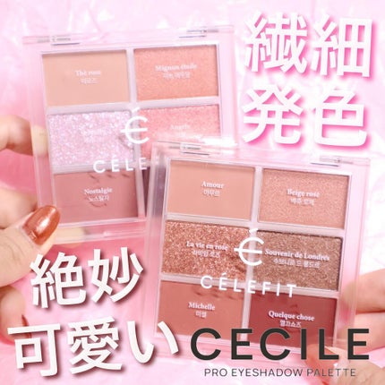 プロアイシャドウパレットセシル/CELEFIT/アイシャドウパレットを使ったクチコミ(1枚目)