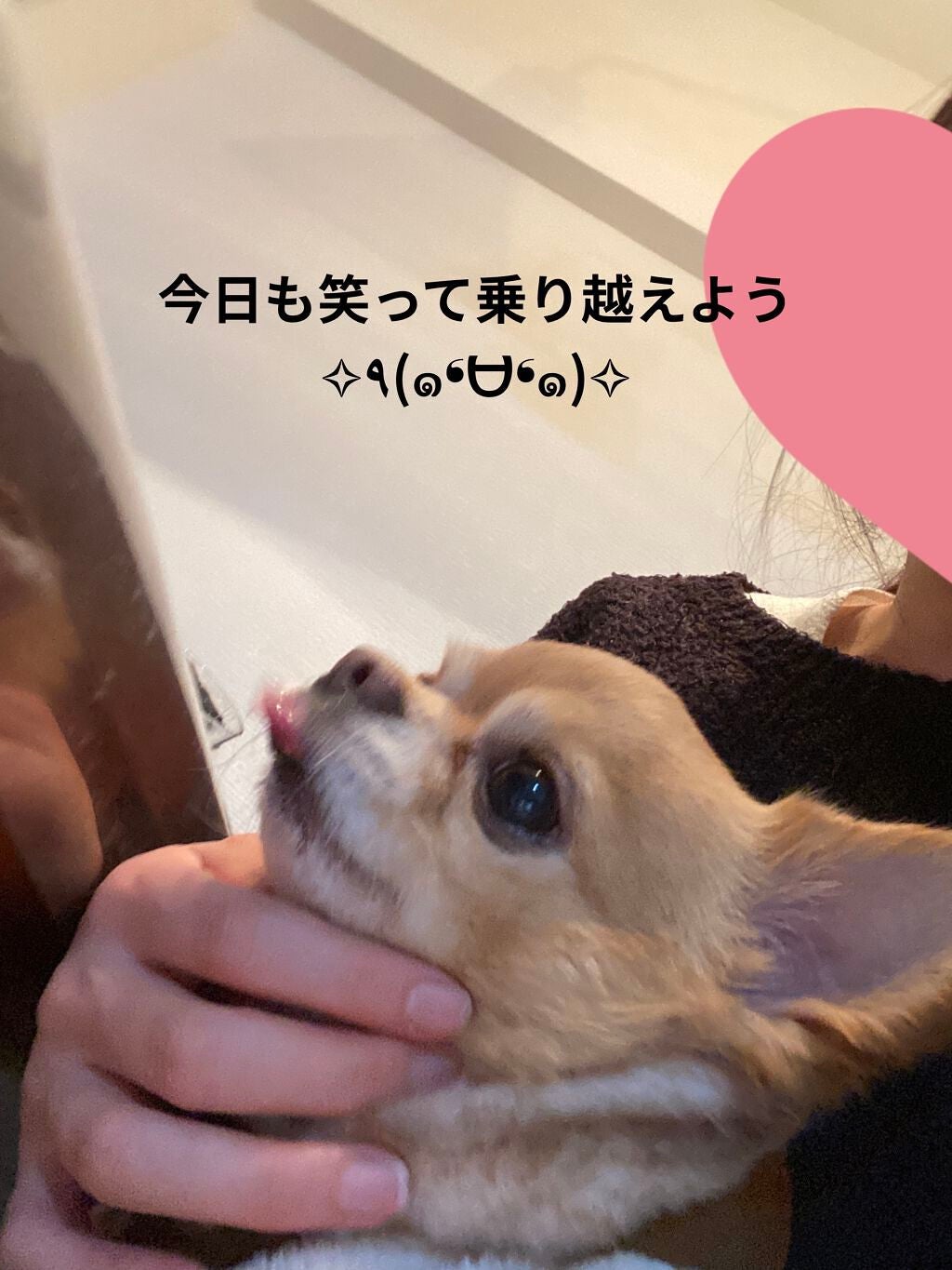 アイ カラー クォード/TOM FORD BEAUTY/アイシャドウパレットを使ったクチコミ(10枚目)