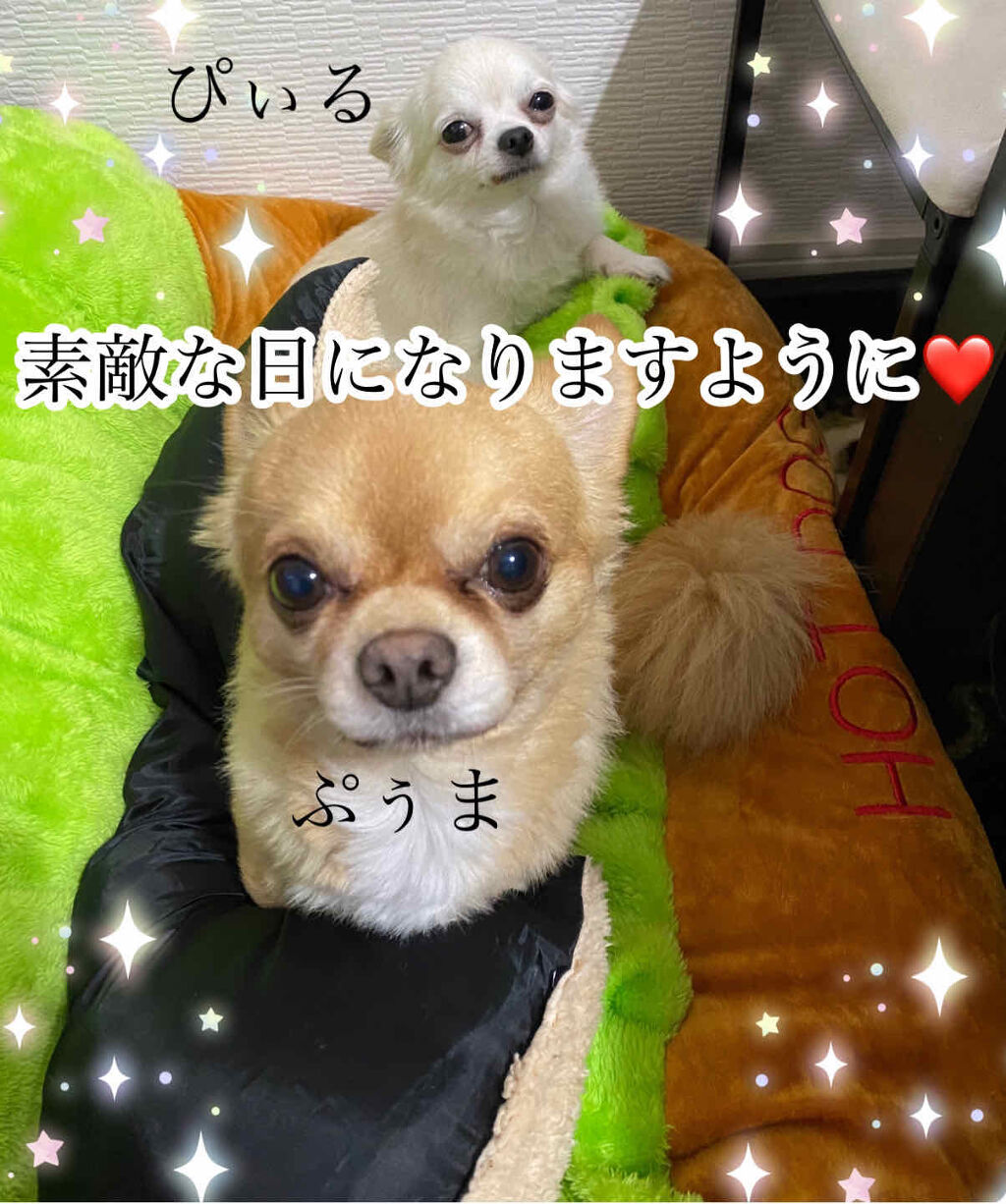 ハンドミラーII/JILL STUART/その他化粧小物を使ったクチコミ（2枚目）