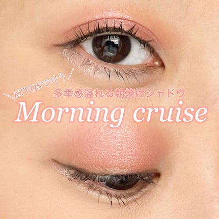 ミネラルクラッシィシャドー/エトヴォス/アイシャドウパレットを使ったクチコミ(2枚目)