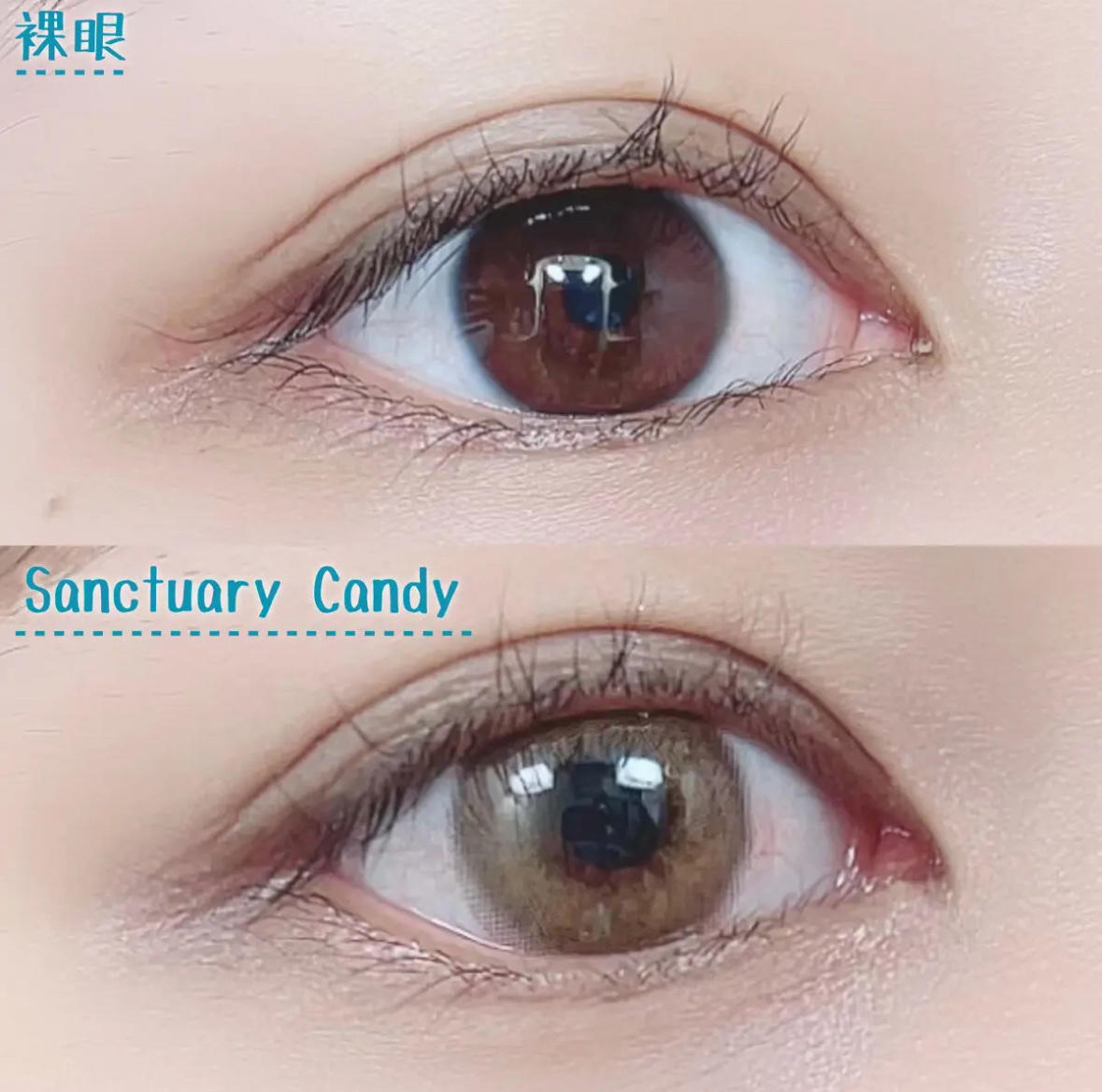 Jill Sanctuary/グラムレンズ/カラーコンタクトレンズを使ったクチコミ（3枚目）