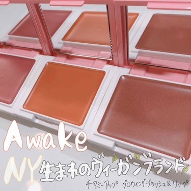 チアミーアップ グロウイング ブラッシュ＆リップ 01 plum rose/Awake/口紅を使ったクチコミ（1枚目）