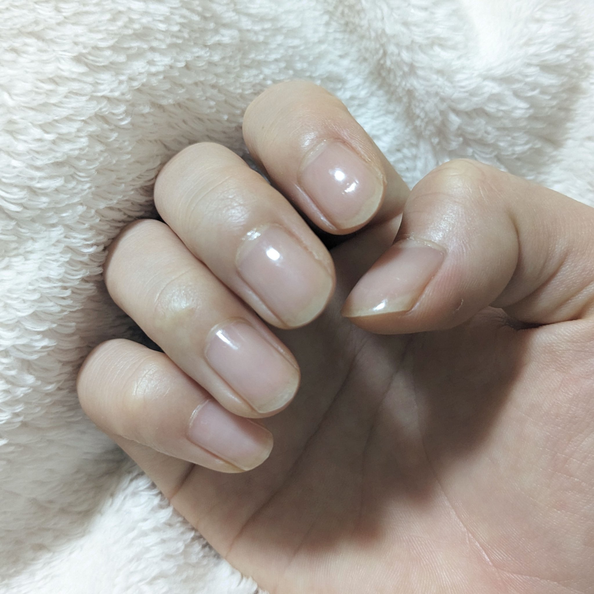 ファンデーションカラーズ/キャンメイク/マニキュアを使ったクチコミ（1枚目）