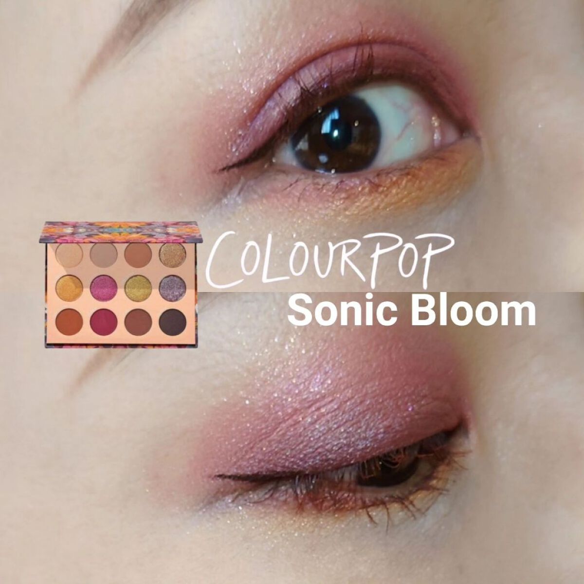 グッドスポーツ プレストパウダー シャドーパレット/ColourPop/アイシャドウパレットを使ったクチコミ（1枚目）