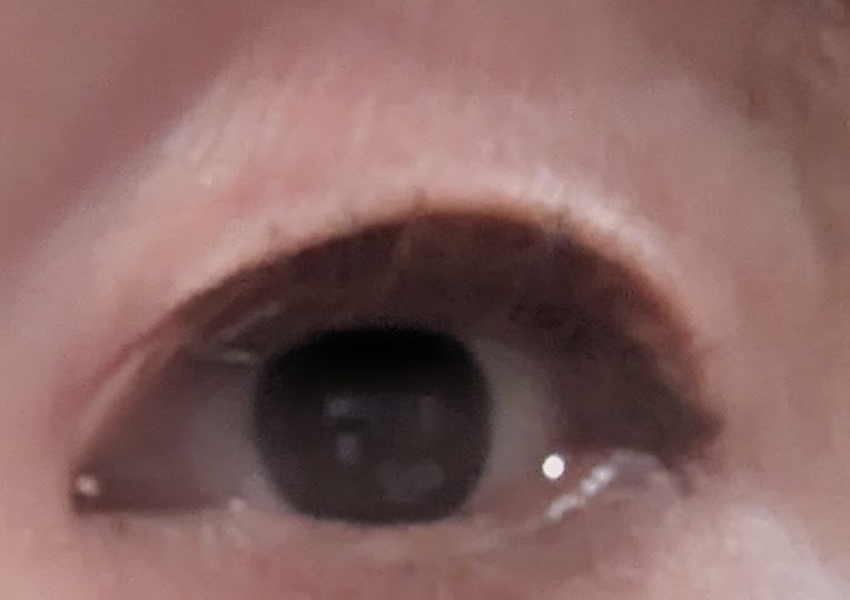 カラーパターンパレット/i’m meme/マルチパレットを使ったクチコミ（2枚目）