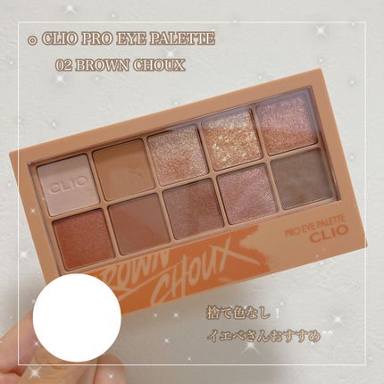 プロ アイ パレット/CLIO/アイシャドウパレットを使ったクチコミ(1枚目)