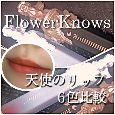 リトルエンジェルフェザーマットリップ W05 トリビュナルエンジェル/FlowerKnows/口紅を使ったクチコミ（1枚目）