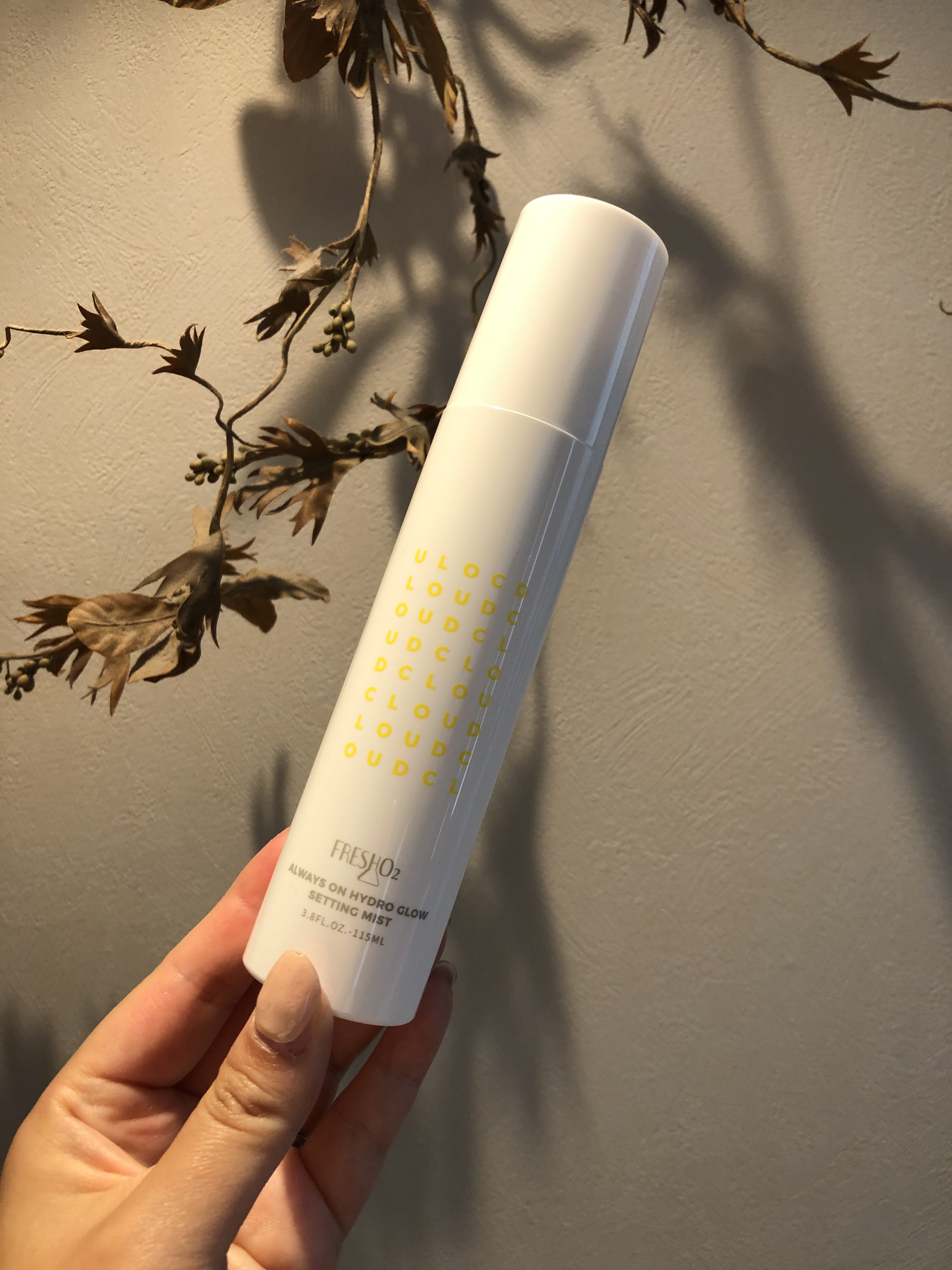 クラウドオールウェイズオン ハイドログロー メイクキー プミスト/FRESHO2/フィックスミストを使ったクチコミ（1枚目）