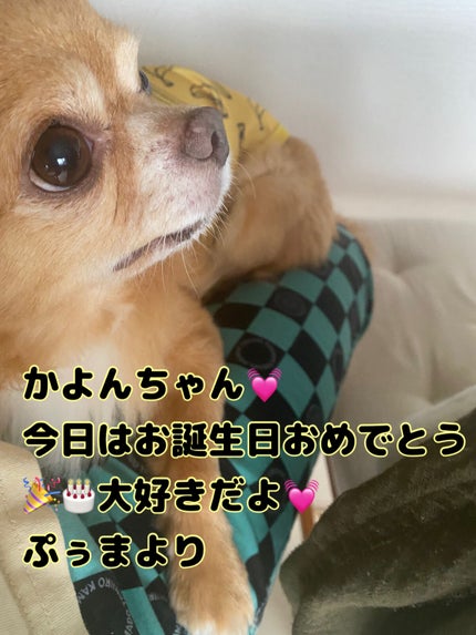 ヴェルニ ディオリフィック/Dior/マニキュアを使ったクチコミ(6枚目)