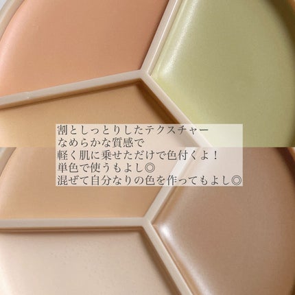 カバーパーフェクション トリプル ポット コンシーラー/the SAEM/パレットコンシーラーを使ったクチコミ(3枚目)