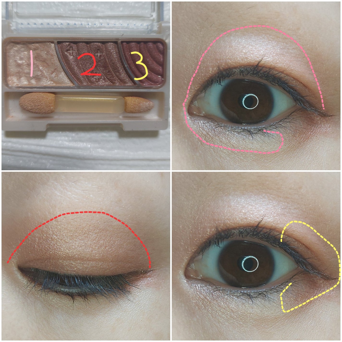 トーンアップアイシャドウ/CEZANNE/アイシャドウパレットを使ったクチコミ(3枚目)