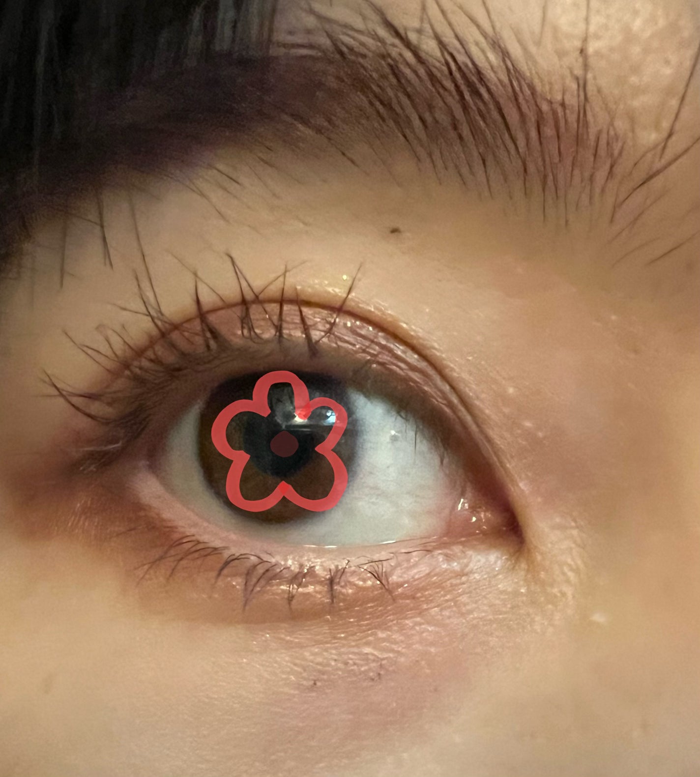 ザ マスカラ インテンス ラッシュ/ADDICTION/マスカラを使ったクチコミ(3枚目)