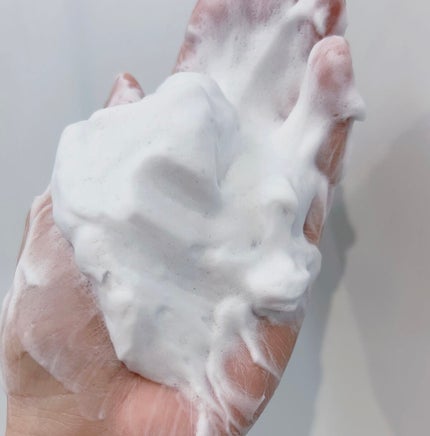 パウダーウォッシュ/LFREAL/洗顔パウダーを使ったクチコミ(4枚目)