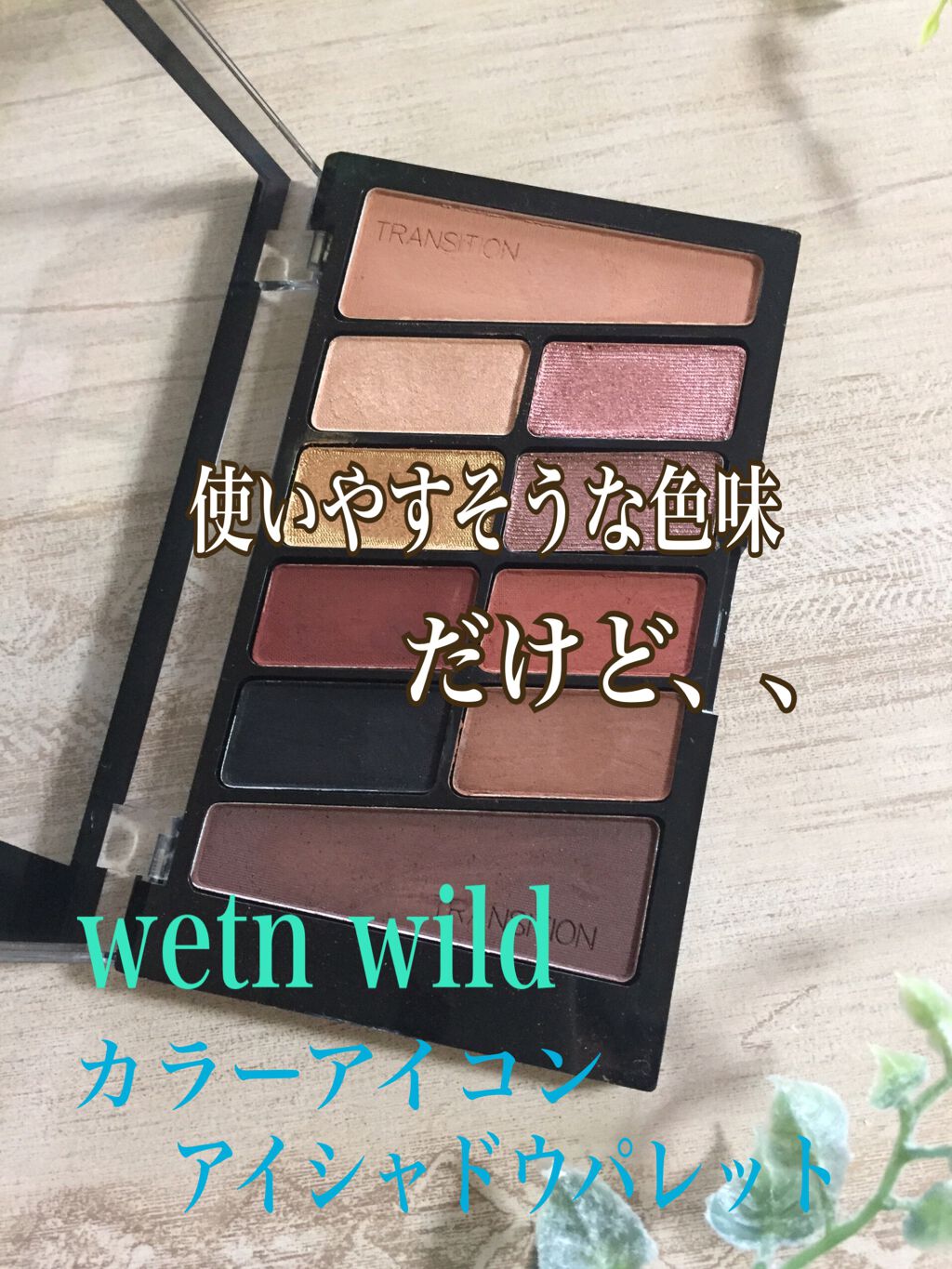 Eyeshadow 10 Pan Palette/wet 'n' wild/アイシャドウパレットを使ったクチコミ（2枚目）