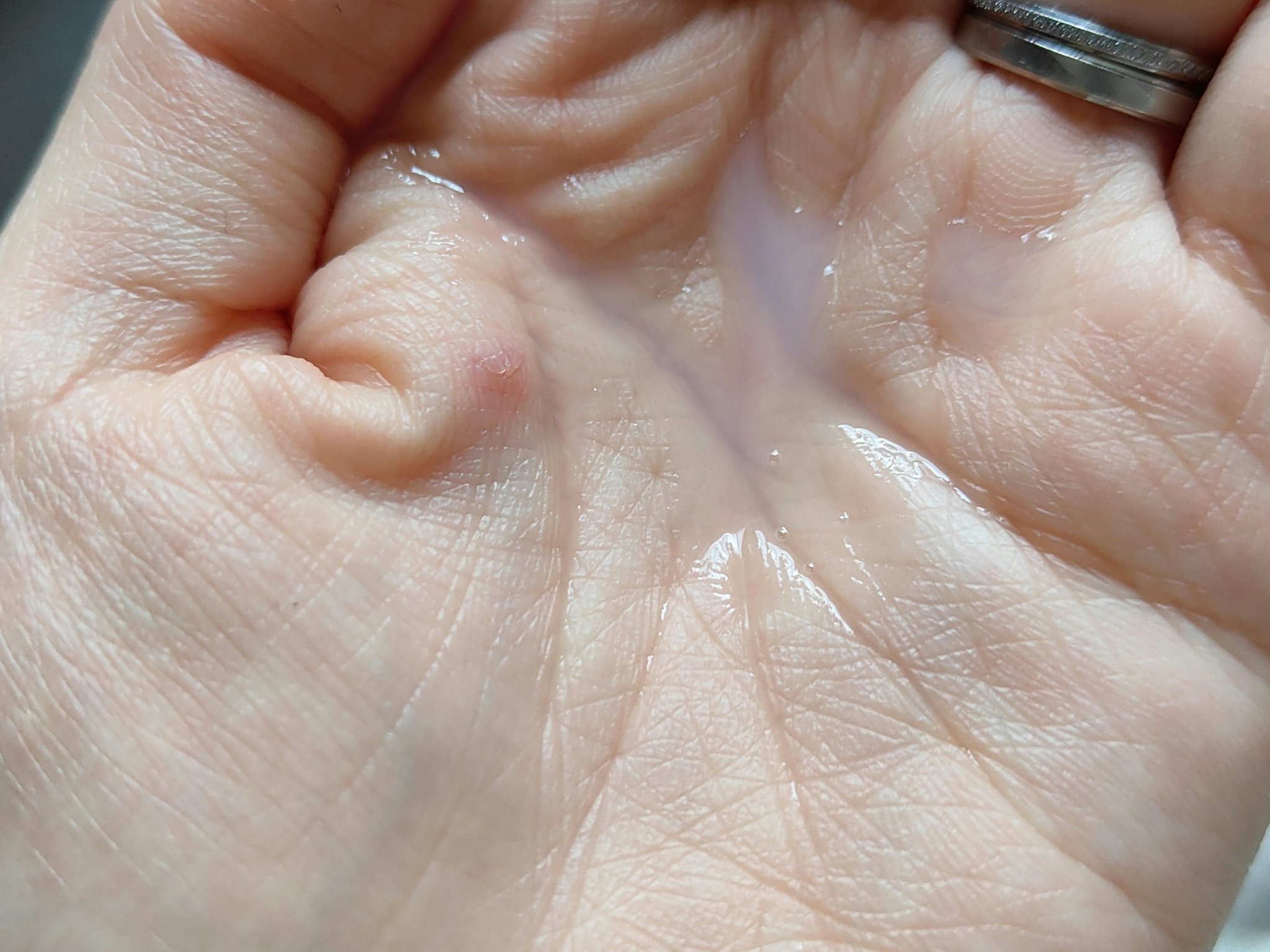 しっとり化粧水 ＮＣ/なめらか本舗/化粧水を使ったクチコミ（3枚目）