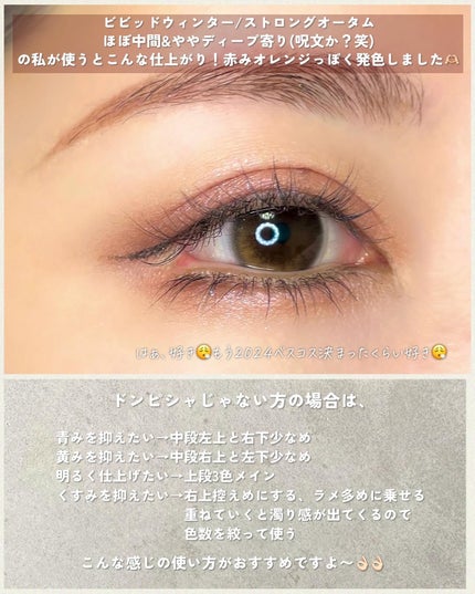 レ ベージュ パレット ルガール/CHANEL/アイシャドウパレットを使ったクチコミ(4枚目)