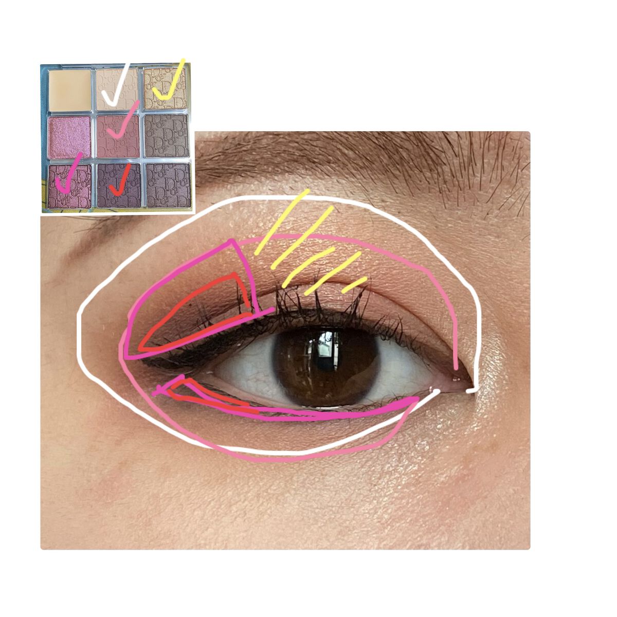 ディオール バックステージ アイ パレット/Dior/アイシャドウパレットを使ったクチコミ（3枚目）