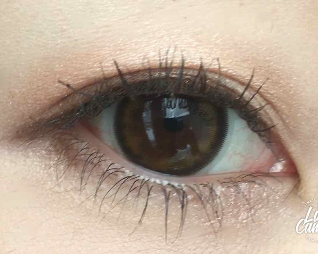 グラマラスヌード アイパレット (クリスマスコフレ 2017)/Visée/メイクアップキットを使ったクチコミ(2枚目)