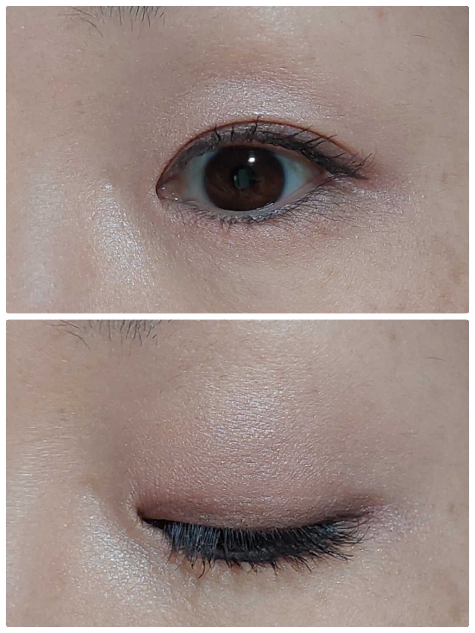 【旧】ディオールショウ サンク クルール （スプリング コレクション 2024 限定品）/Dior/アイシャドウを使ったクチコミ（2枚目）