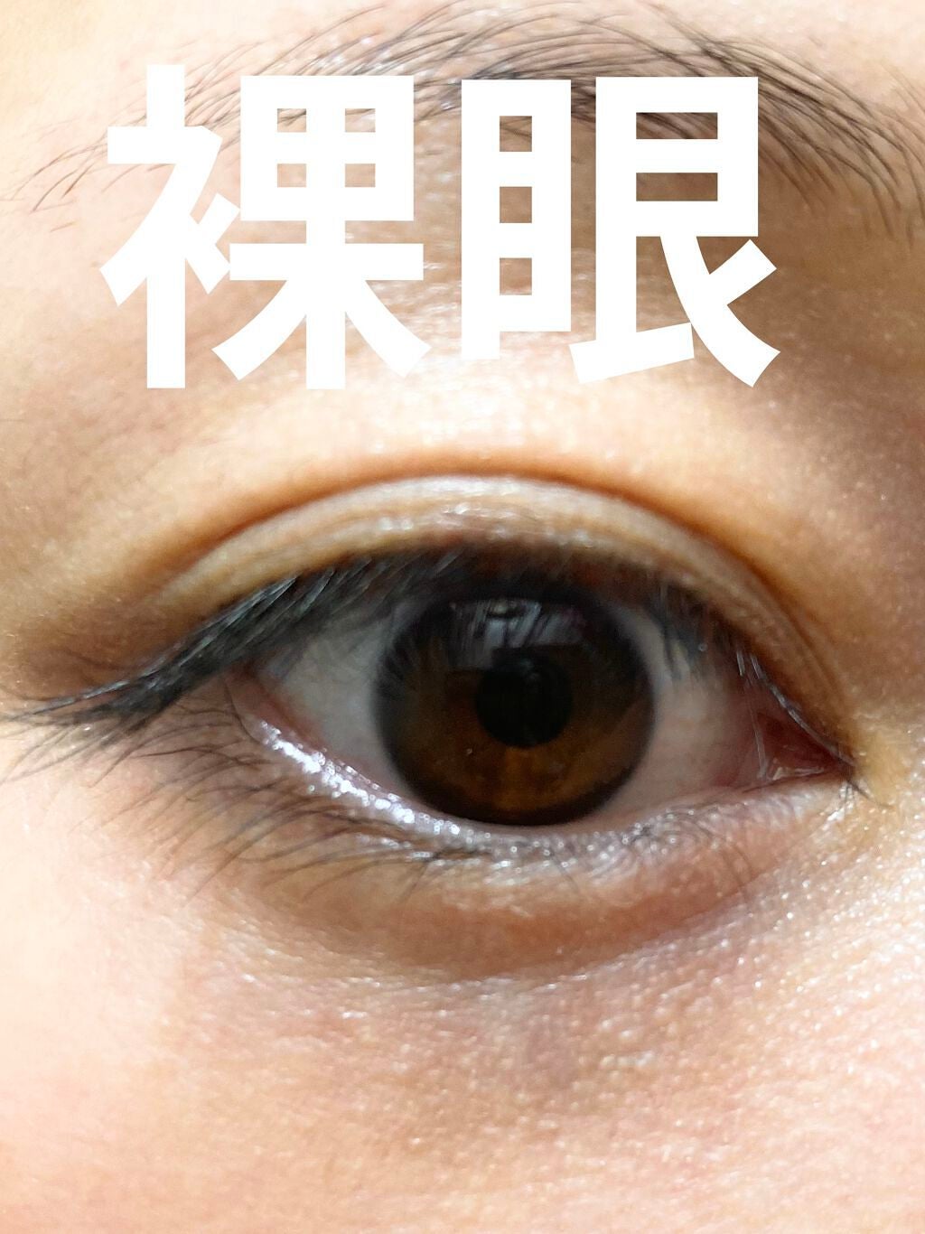 エバーカラーワンデー ナチュラル/エバーカラー/ワンデー(1DAY)カラコンを使ったクチコミ(4枚目)