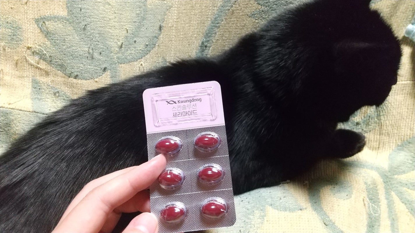 飲むセラミド(スキンソリューションセラミド)/Kwangdong/美容サプリメントを使ったクチコミ(3枚目)