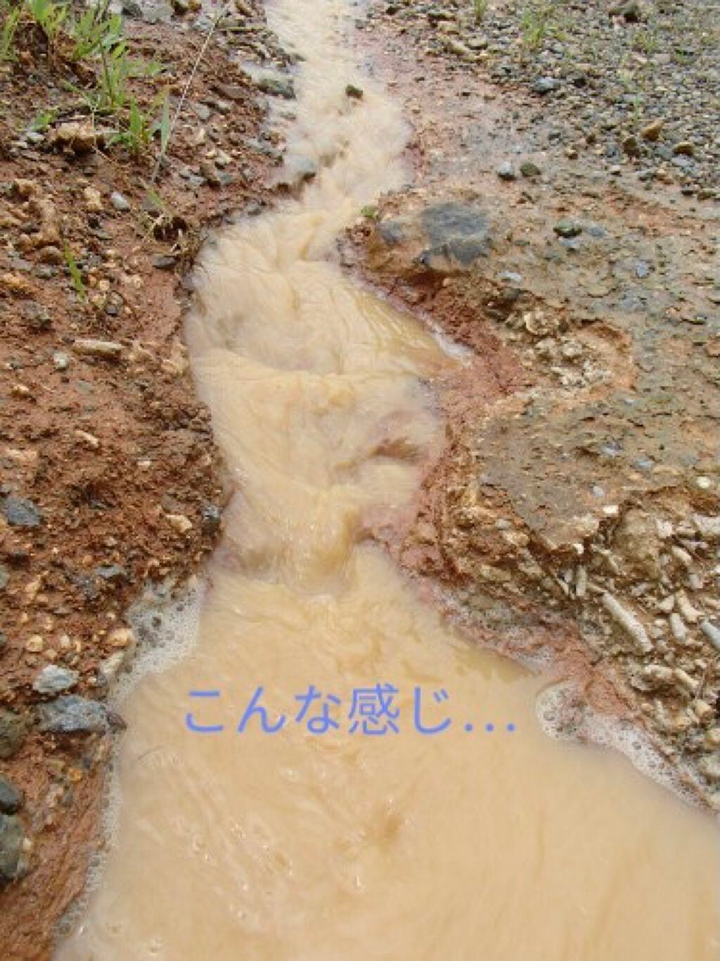 オクチレモン(マウスウォッシュ)/オクチシリーズ/マウスウォッシュ・スプレーを使ったクチコミ(2枚目)