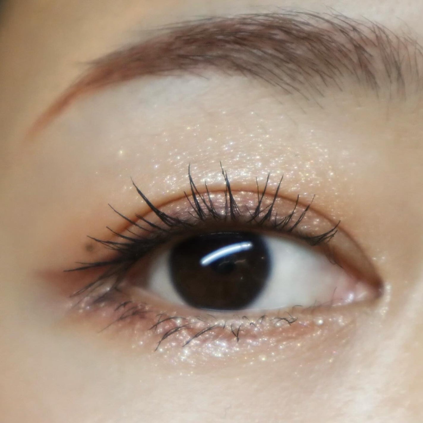 アディクション ザ アイシャドウ パレット “アウト オブ ユア シェル”/ADDICTION/アイシャドウパレットを使ったクチコミ(4枚目)