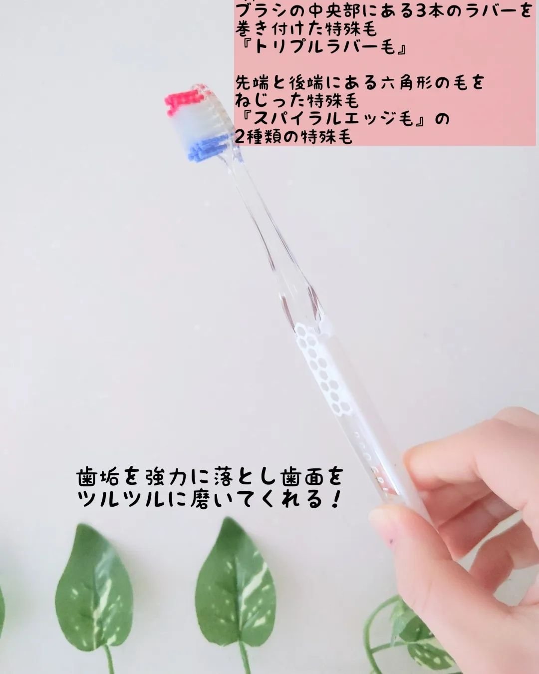 プログリップハブラシ　typeⅢ/エビス/歯ブラシを使ったクチコミ（3枚目）