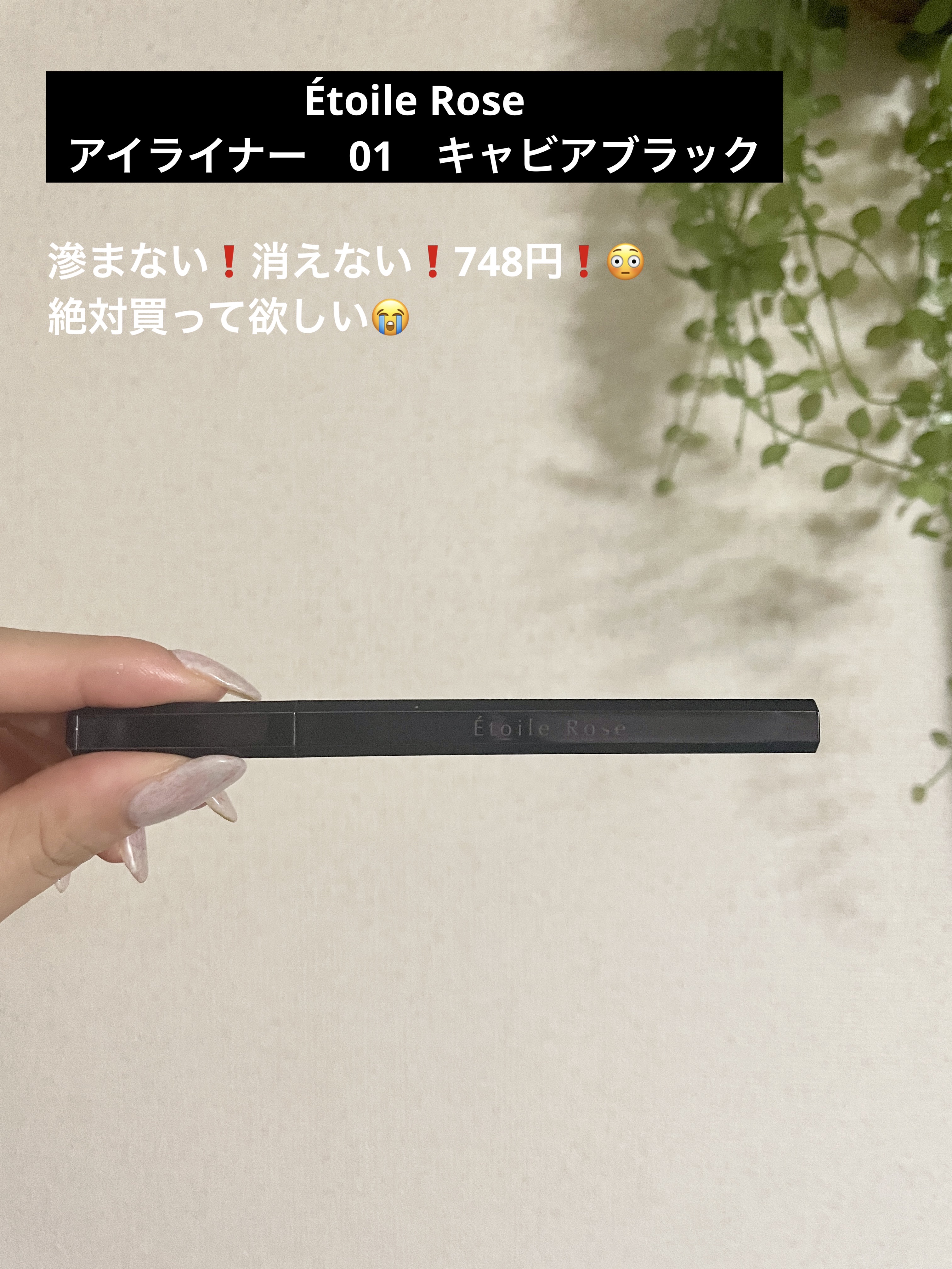 アイライナー/Étoile Rose/リキッドアイライナーを使ったクチコミ（1枚目）