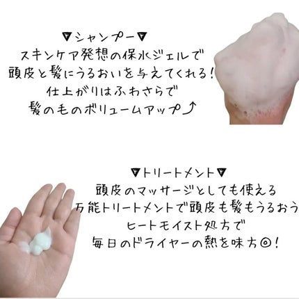 モイストアップ ジェル シャンプー/トリートメント/fuettarich (フエッタリッチ)/サロンシャンプーを使ったクチコミ(2枚目)