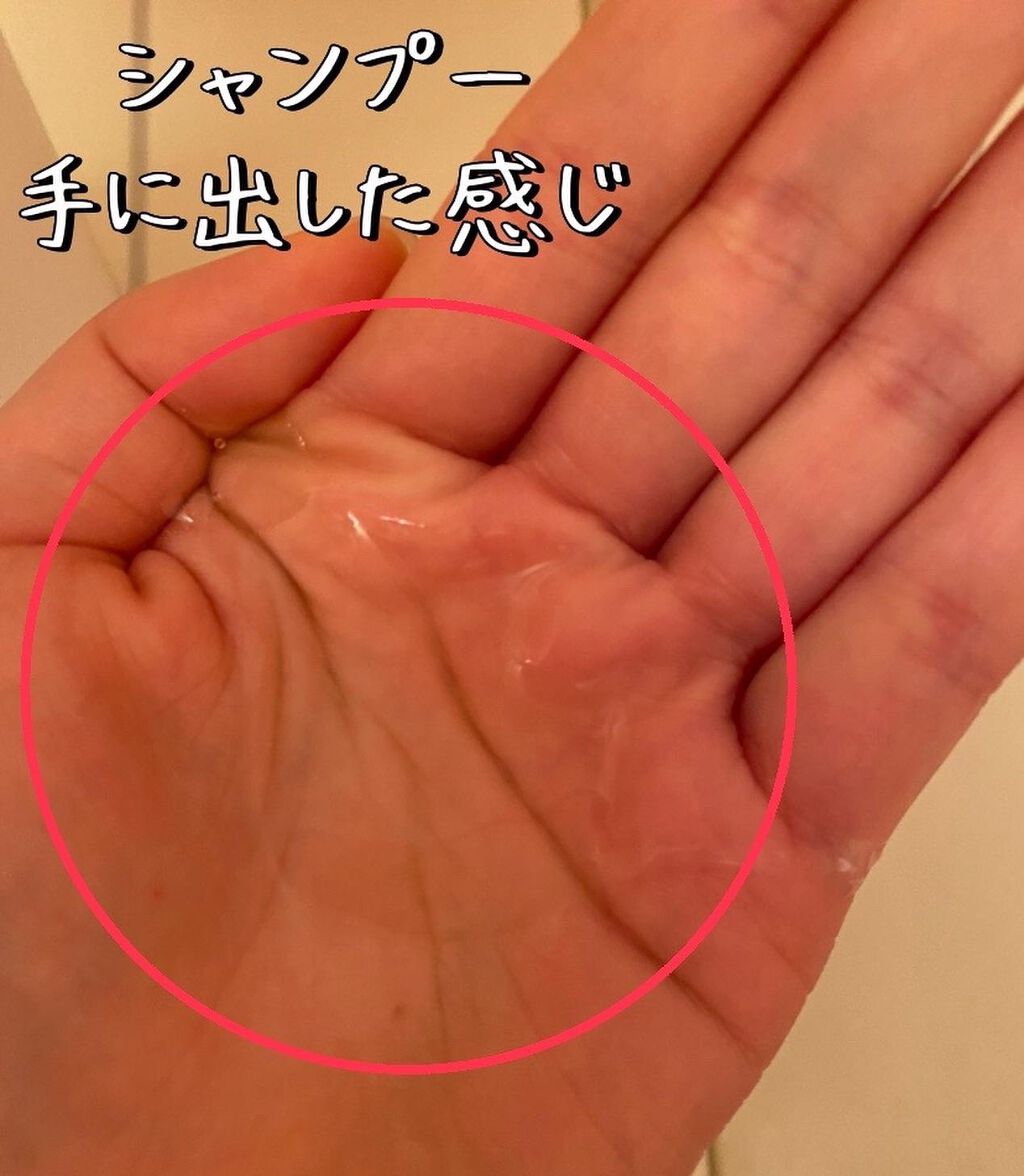 バランスエフェクトシャンプー/トリートメント/スリーク by サラサロン/市販シャンプーを使ったクチコミ(2枚目)