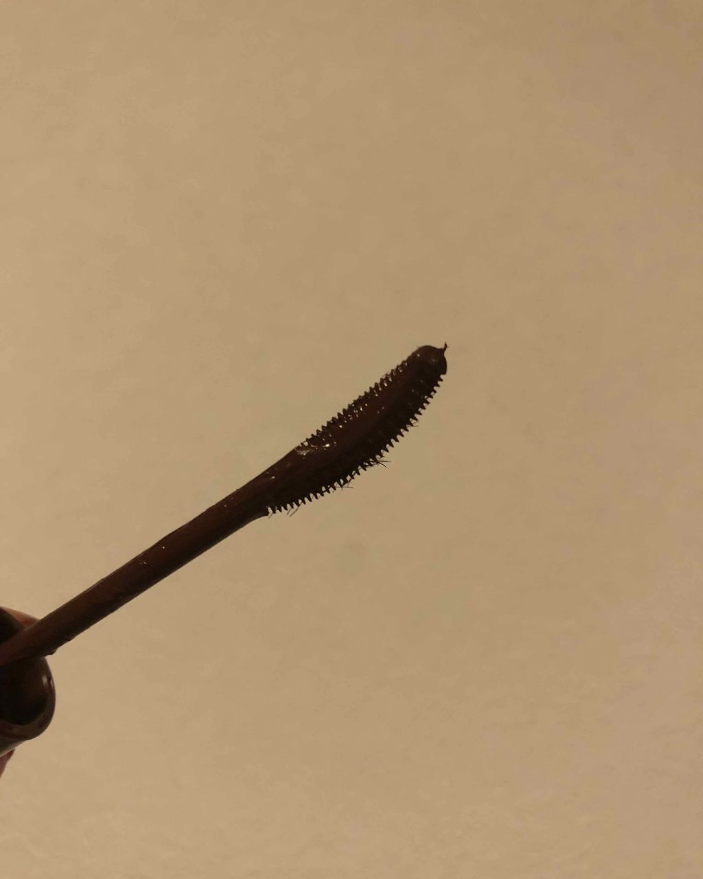 ラッシュエキスパンダー エッジマイスター F/MAJOLICA MAJORCA/マスカラを使ったクチコミ（2枚目）