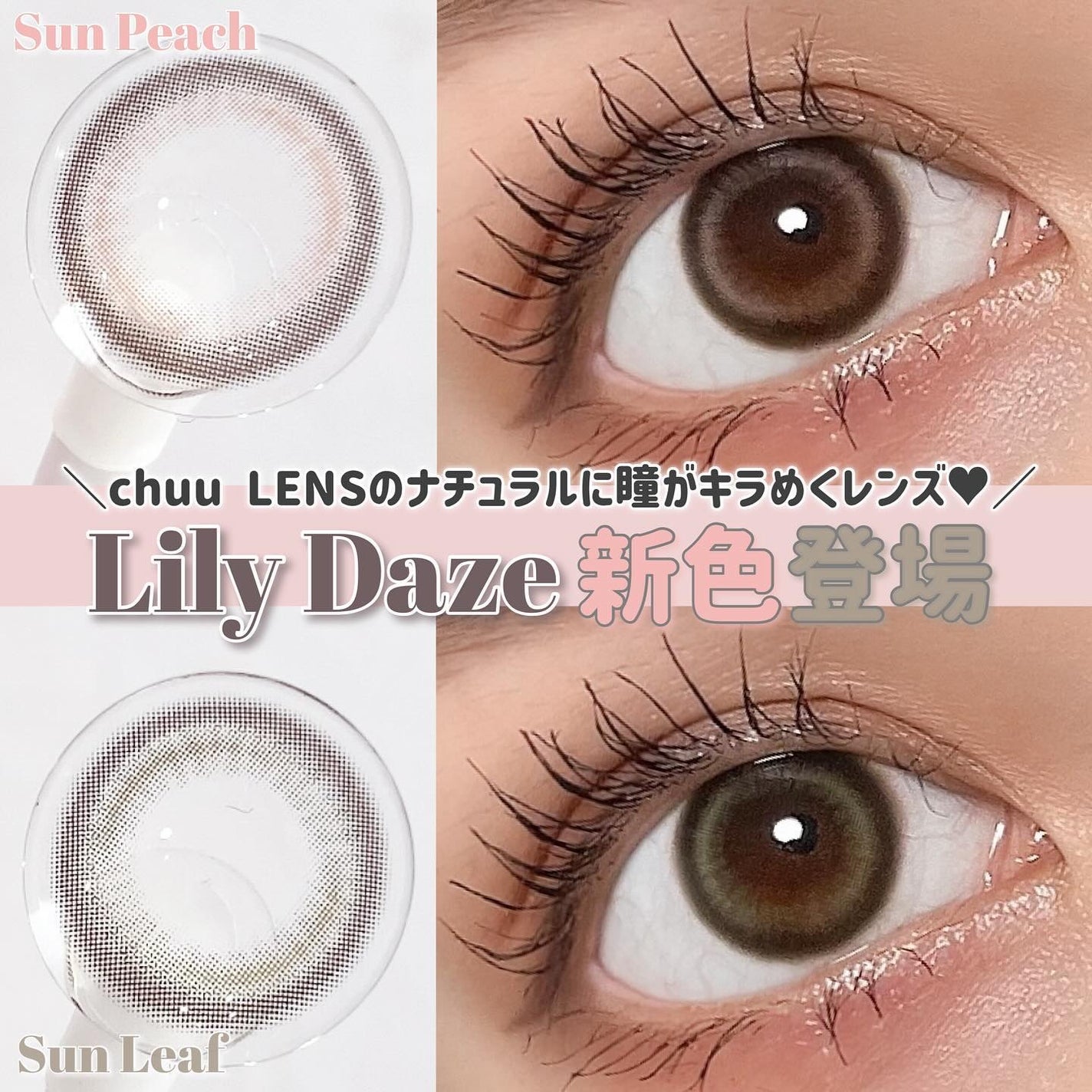 Lily Daze/chuu LENS/ワンデー(1DAY)カラコンを使ったクチコミ(1枚目)