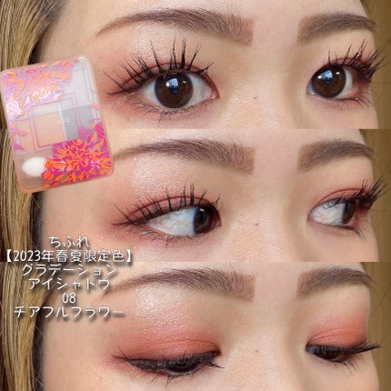 グラデーション アイシャドウ/ちふれ/アイシャドウパレットを使ったクチコミ(4枚目)