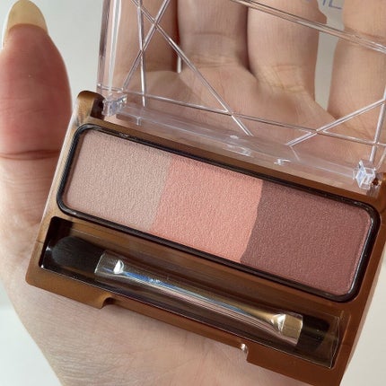 ノーズ&アイブロウパウダー/CEZANNE/パウダーアイブロウを使ったクチコミ(2枚目)