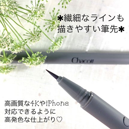 パワーフィットアイライナー/チャコット・コスメティクス/リキッドアイライナーを使ったクチコミ(2枚目)