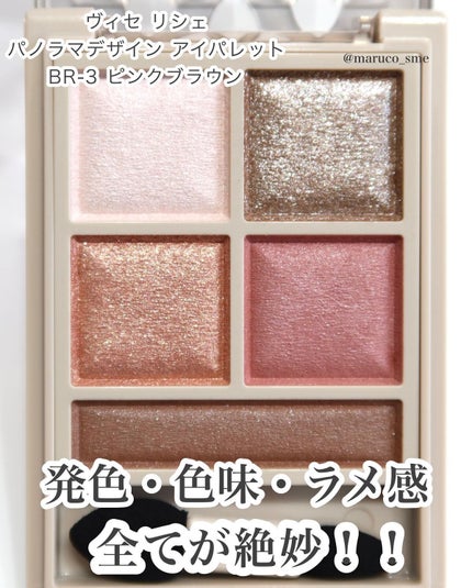 パノラマデザイン アイパレット/Visée/アイシャドウパレットを使ったクチコミ(3枚目)