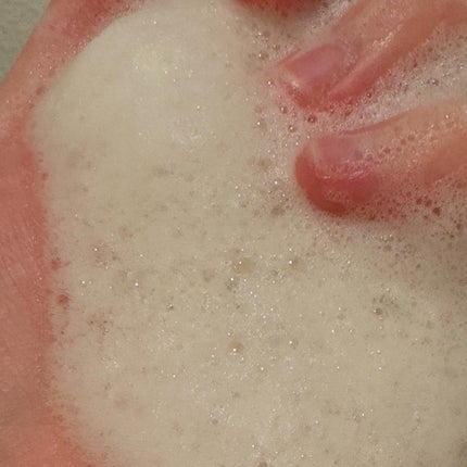 グリーンティー&エンザイムパウダーウォッシュ/By Wishtrend/洗顔パウダーを使ったクチコミ(3枚目)