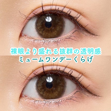 miium 1day/miium/ワンデー(1DAY)カラコンを使ったクチコミ(1枚目)