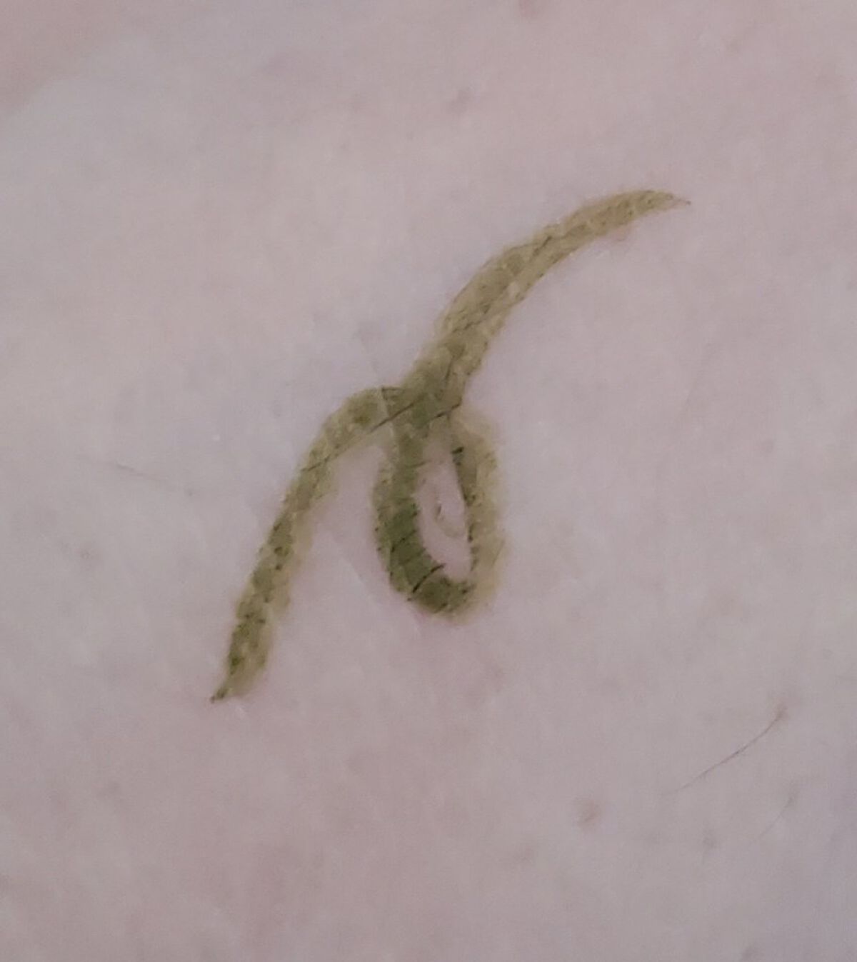 ハードワイヤードアイシャドー 5348/NARS/単色アイシャドウを使ったクチコミ（3枚目）