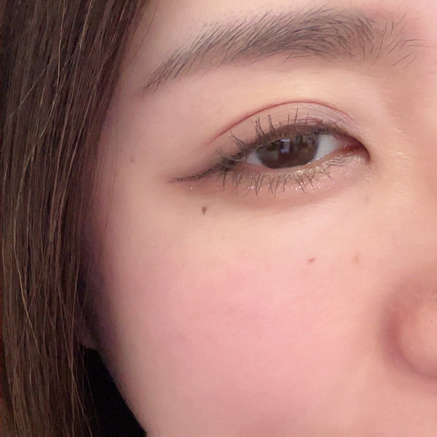 ブレンディングムードチーク/dasique/パウダーチークを使ったクチコミ(2枚目)