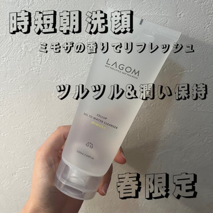 ジェルトゥウォーター クレンザー (MI)/LAGOM /その他洗顔料を使ったクチコミ(1枚目)