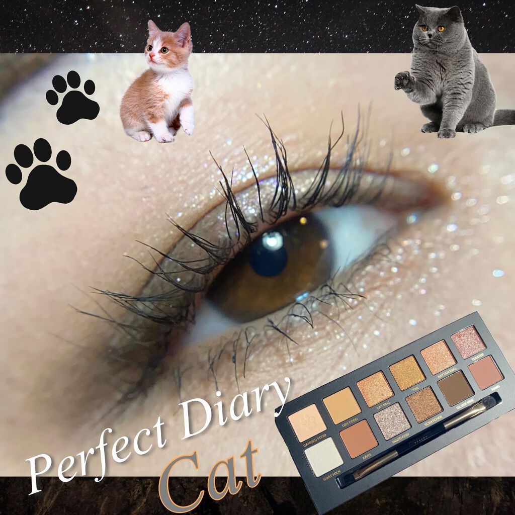 エクスプローラ12色 動物アイシャドウパレット/PERFECT DIARY/アイシャドウパレットを使ったクチコミ（1枚目）