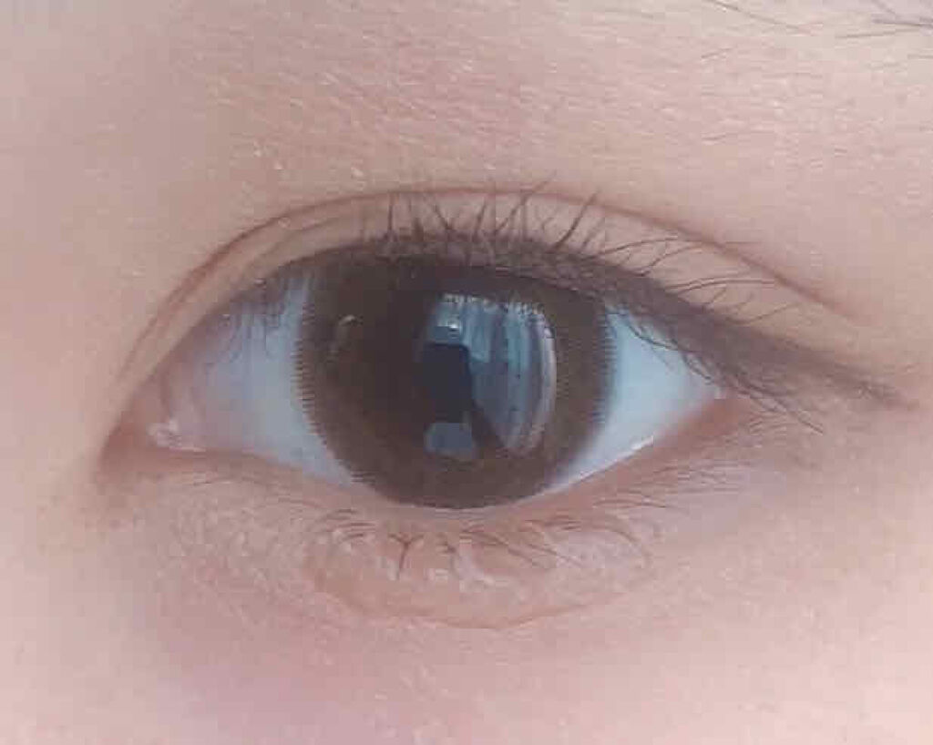 ReVIA 1day/ReVIA/ワンデー（１DAY）カラコンを使ったクチコミ（2枚目）