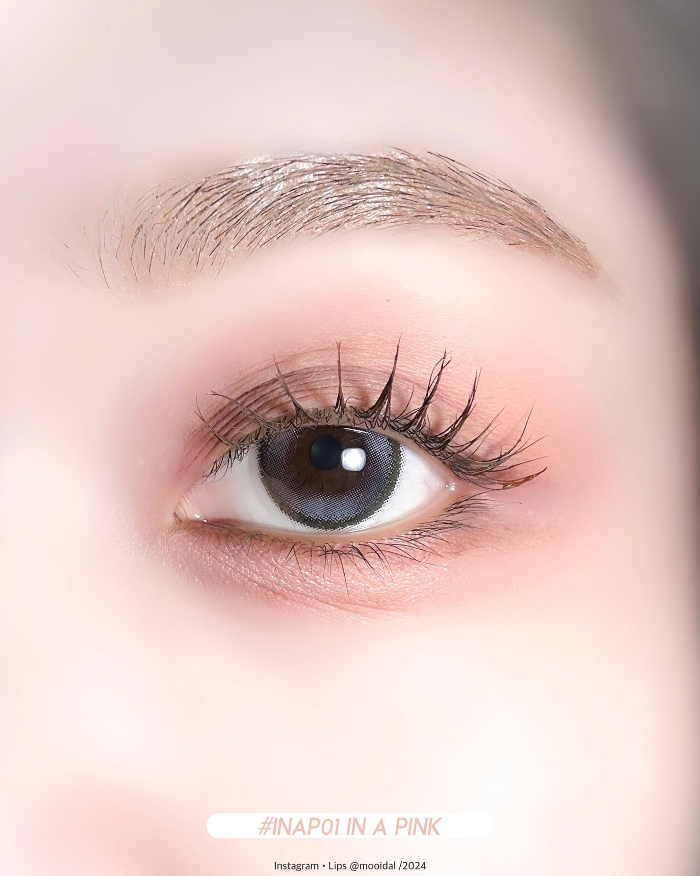 アンドバイロムアンド メロウアイパレット/&nd by rom&nd/アイシャドウパレットを使ったクチコミ(4枚目)